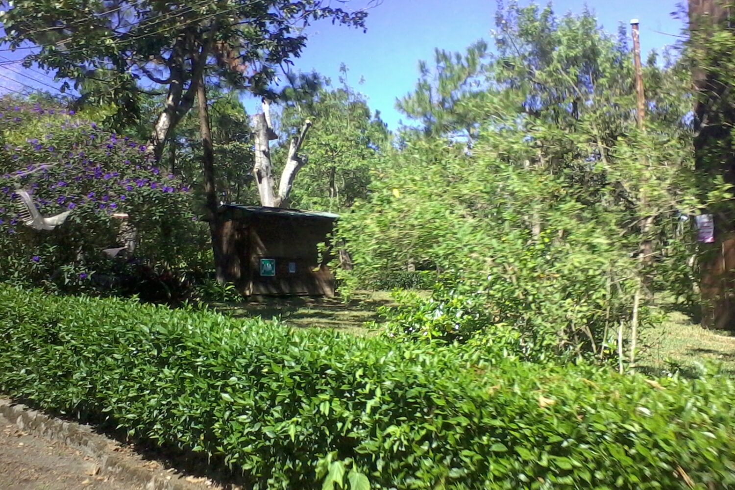 Coffee highlands around Apaneca on the Ruta de las Flores