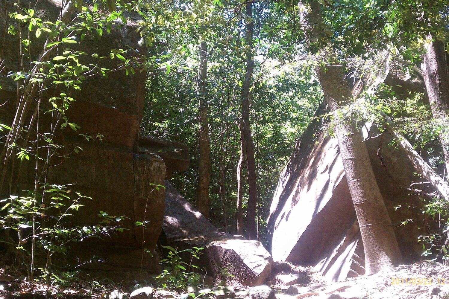 Boulders and tropical forest along the river in El Imposible National Park Boulders and tropical forest along the river in El Imposible National Park