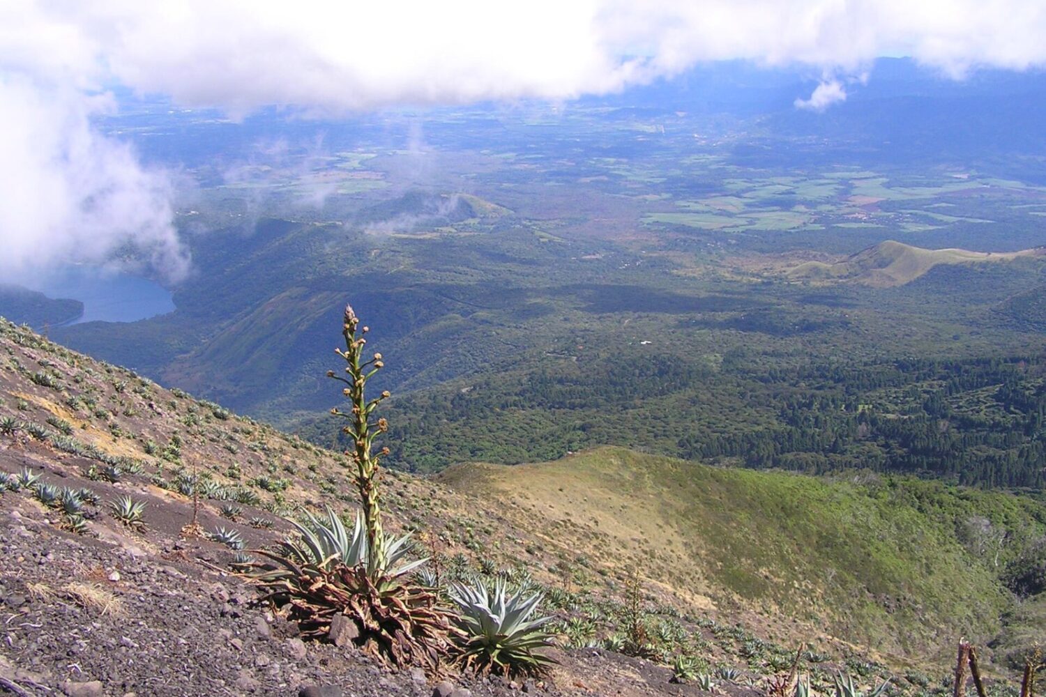 Lake Coatepeque seen from the trail on Santa Ana Volcano Lake Coatepeque seen from the trail on Santa Ana Volcano