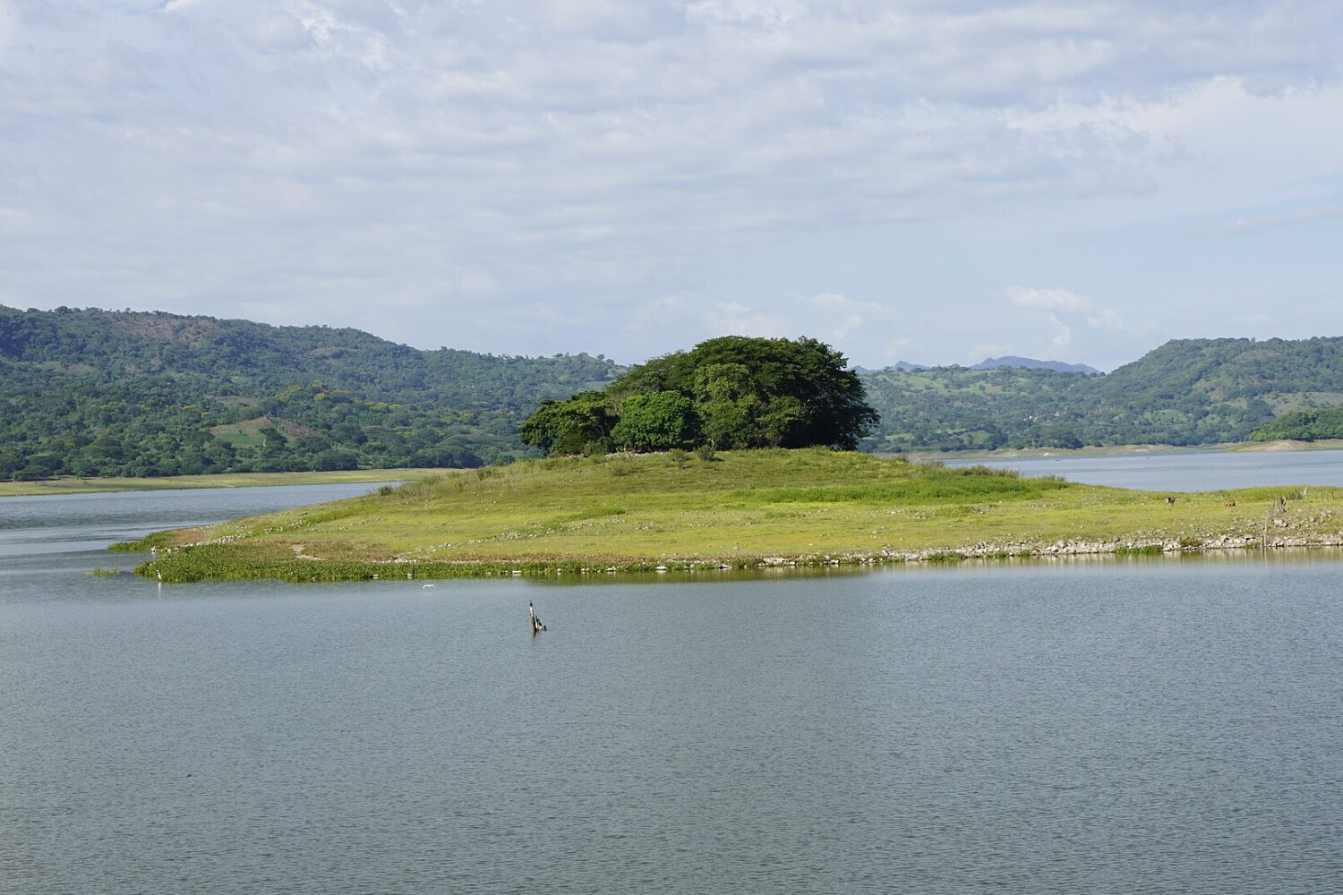 Small island on Lake Suchitlán near Puerto San Juan Small island on Lake Suchitlán near Puerto San Juan