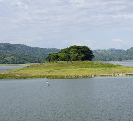 Small island on Lake Suchitlán near Puerto San Juan
